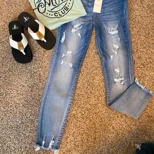 Destroyed buttonfly Judy Blues